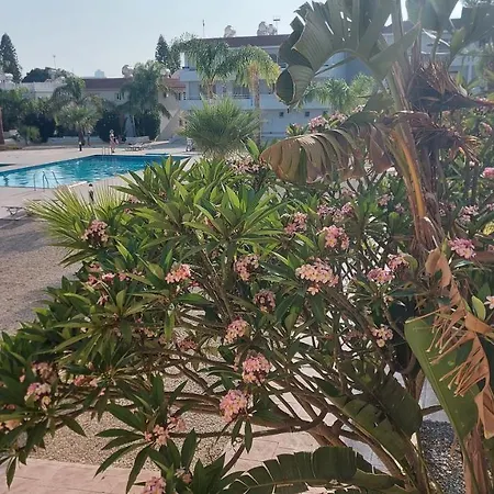 Nissi 3 Pool View Διαμέρισμα Αγία Νάπα